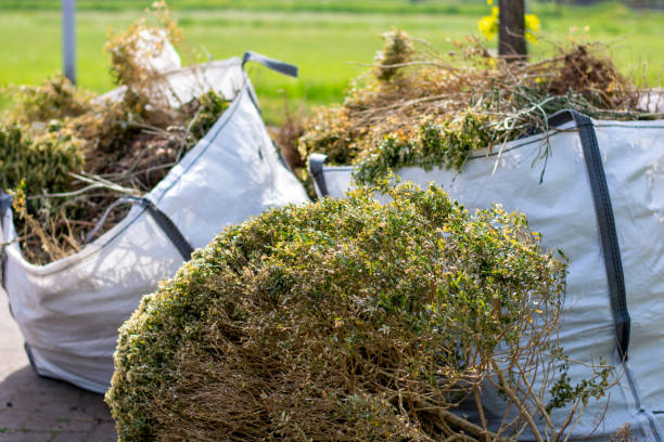 Best Full-Service Junk Removal  in Olyphant, PA